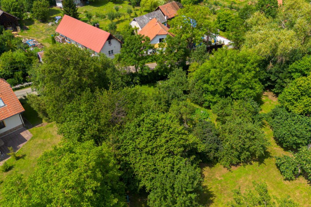 Před